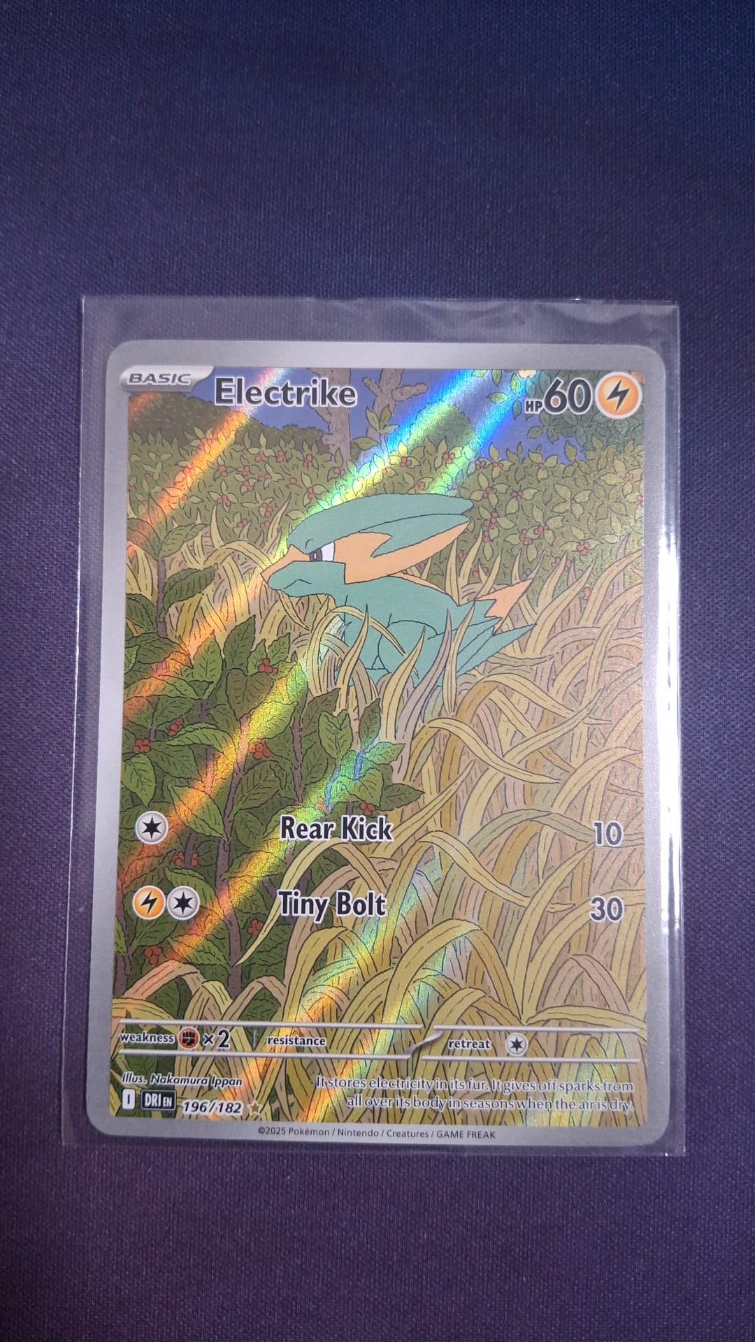 Electrike 196/182 DRI IR ENG