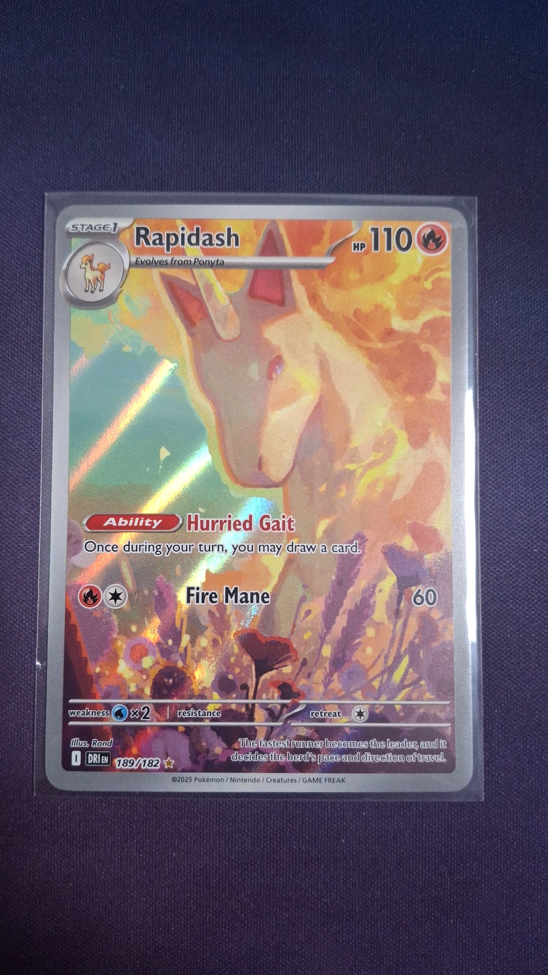 Rapidash 189/182 DRI IR ENG