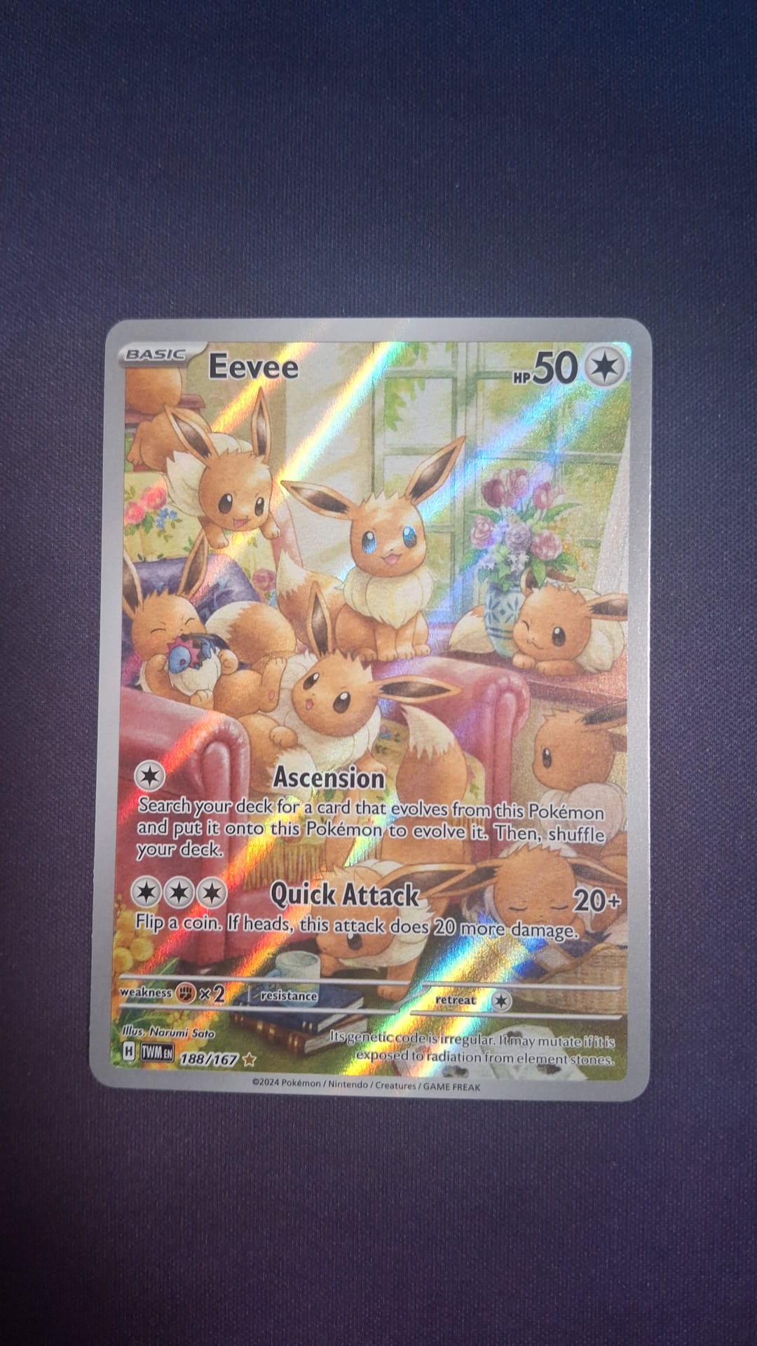 Eevee 188/167 TWM IR ENG