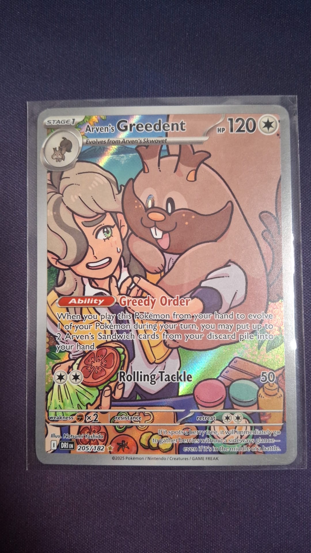Arven's Greedent 205/182 DRI IR ENG
