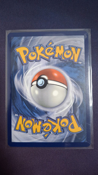 Skarmory 209/191 SSP IR ENG